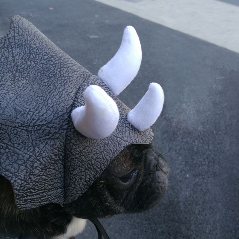 Dinosaur Dog Hat
