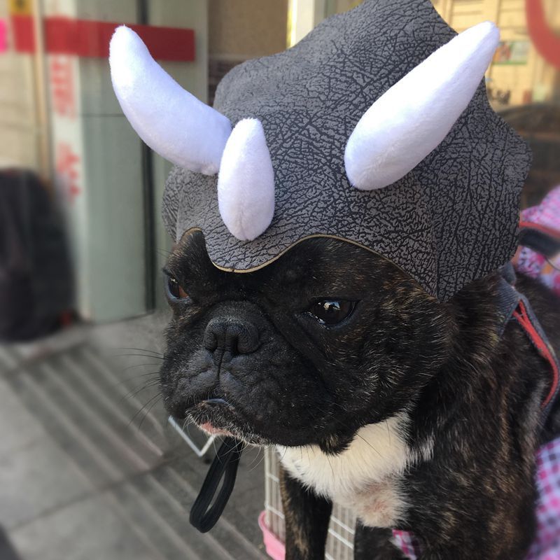 Dinosaur Dog Hat
