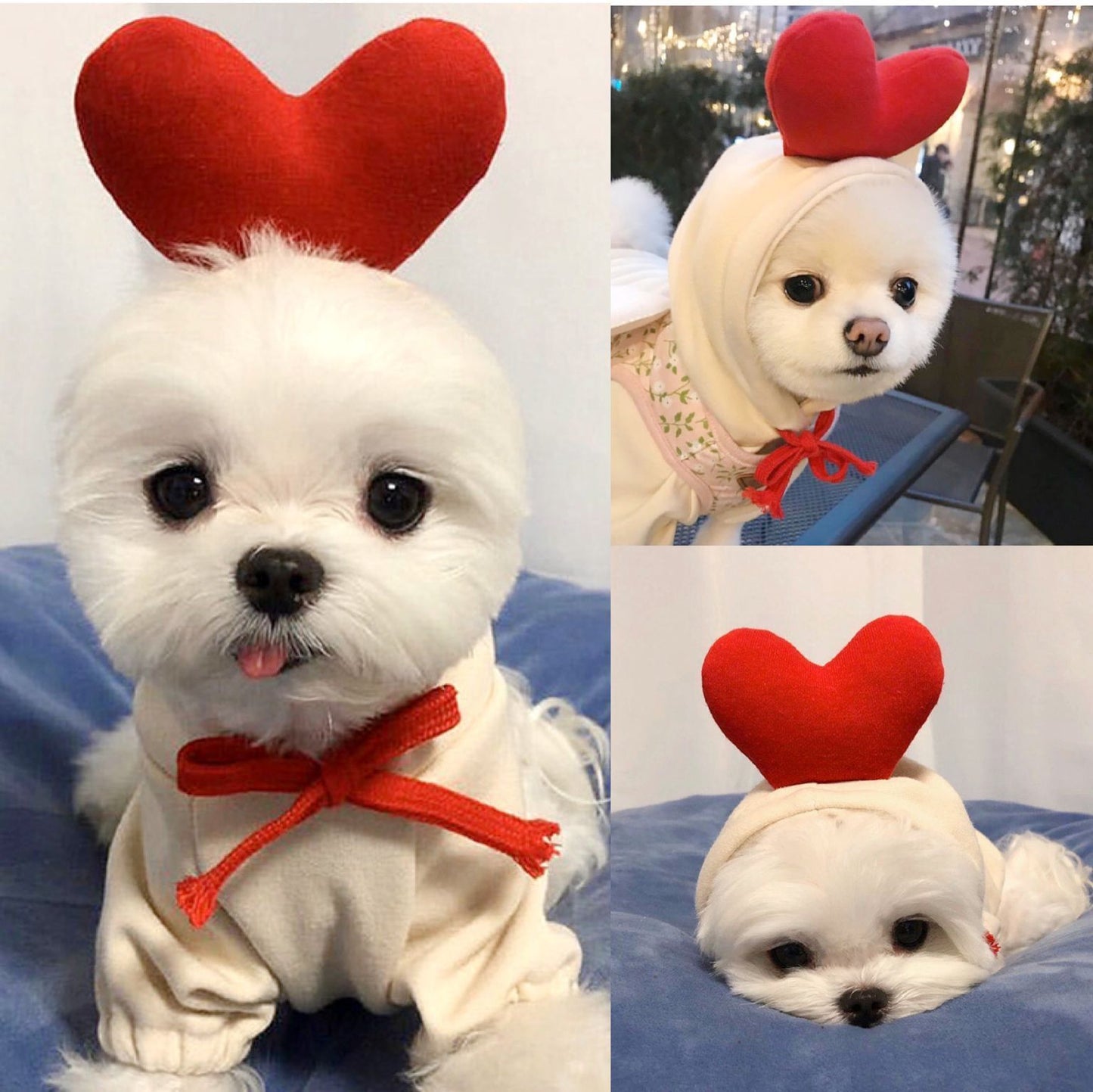 Sweetheart Dog Costume