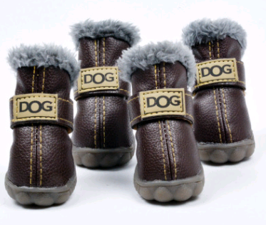 Dog booties
