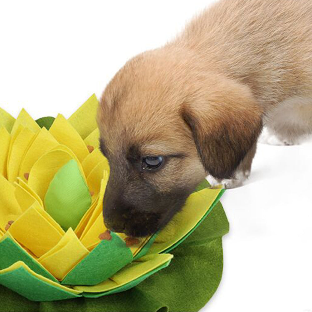 Pet sniffing pad