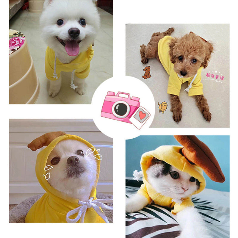 Fruit Dog Costume