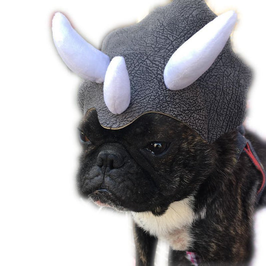 Dinosaur Dog Hat